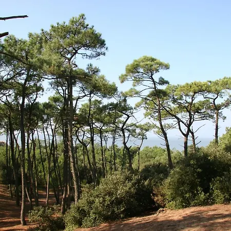 Maison Moderne Pour 7 Personnes A Holiday home *