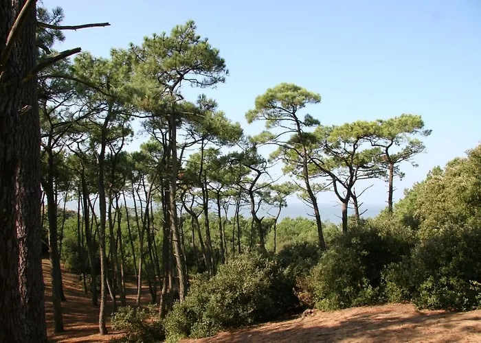 Maison Moderne Pour 7 Personnes A בית נופש *